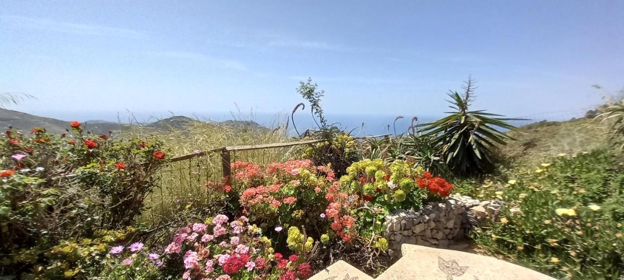 Finca Mariposa Mariposaholidays Нерха Экстерьер фото