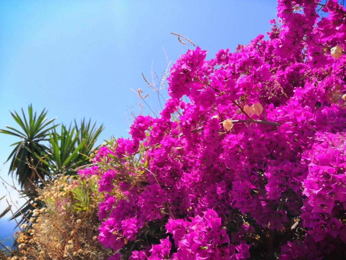 Finca Mariposa Mariposaholidays Нерха Экстерьер фото