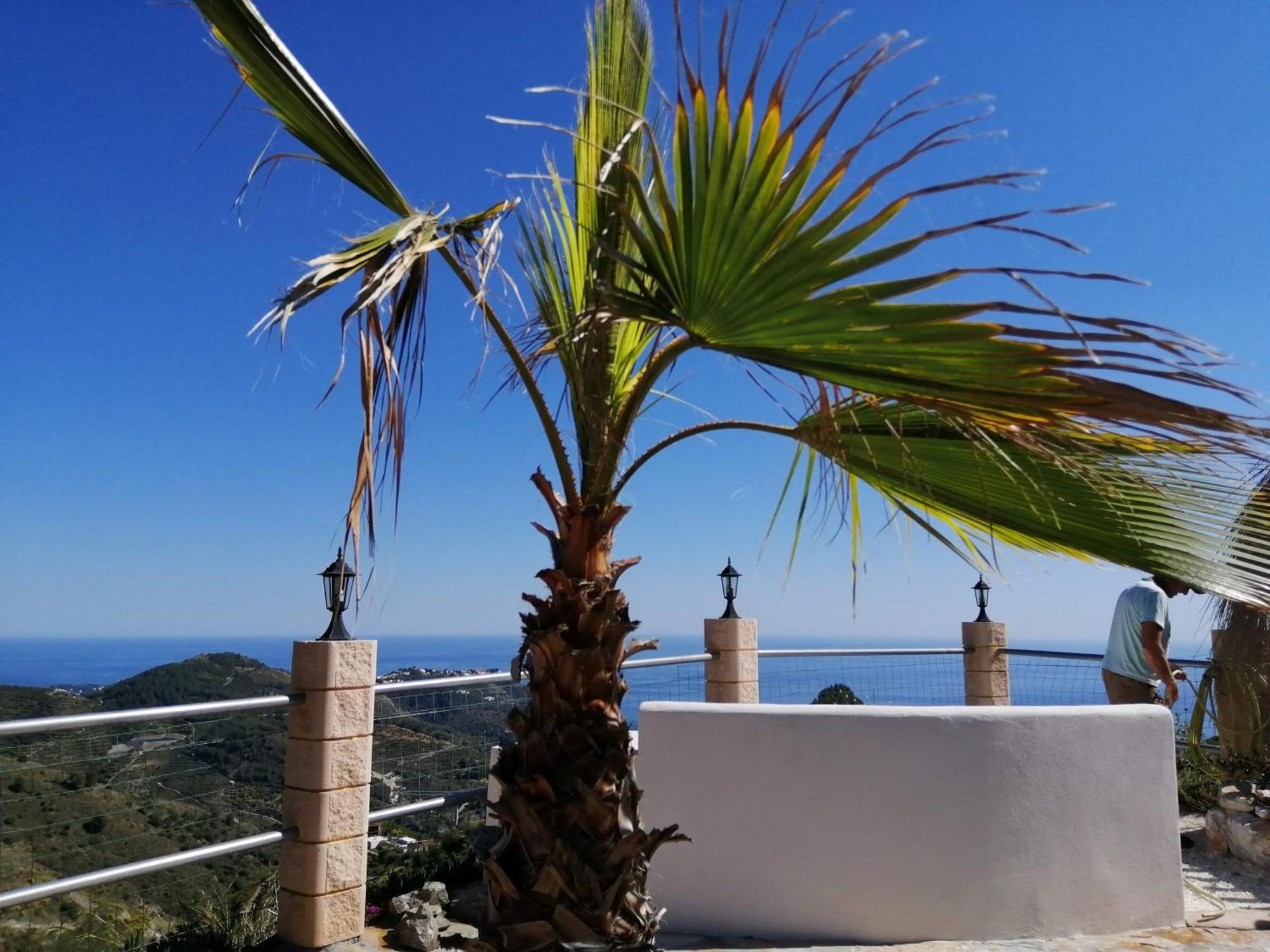 Finca Mariposa Mariposaholidays Нерха Экстерьер фото